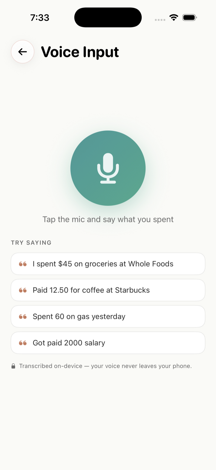 Voice input: tap the mic and say what you spent
